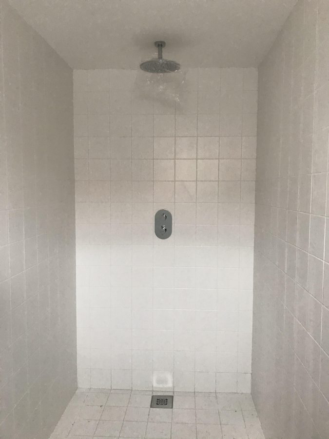 IMG 3721